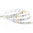 LY60-S2835Wxx-W24-IP68-12W